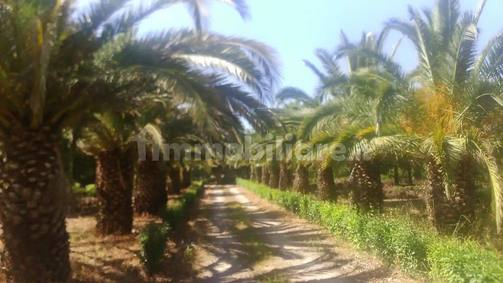 Villa unifamiliare Contrada Balsamate 21, San Vito Chietino - foto 3