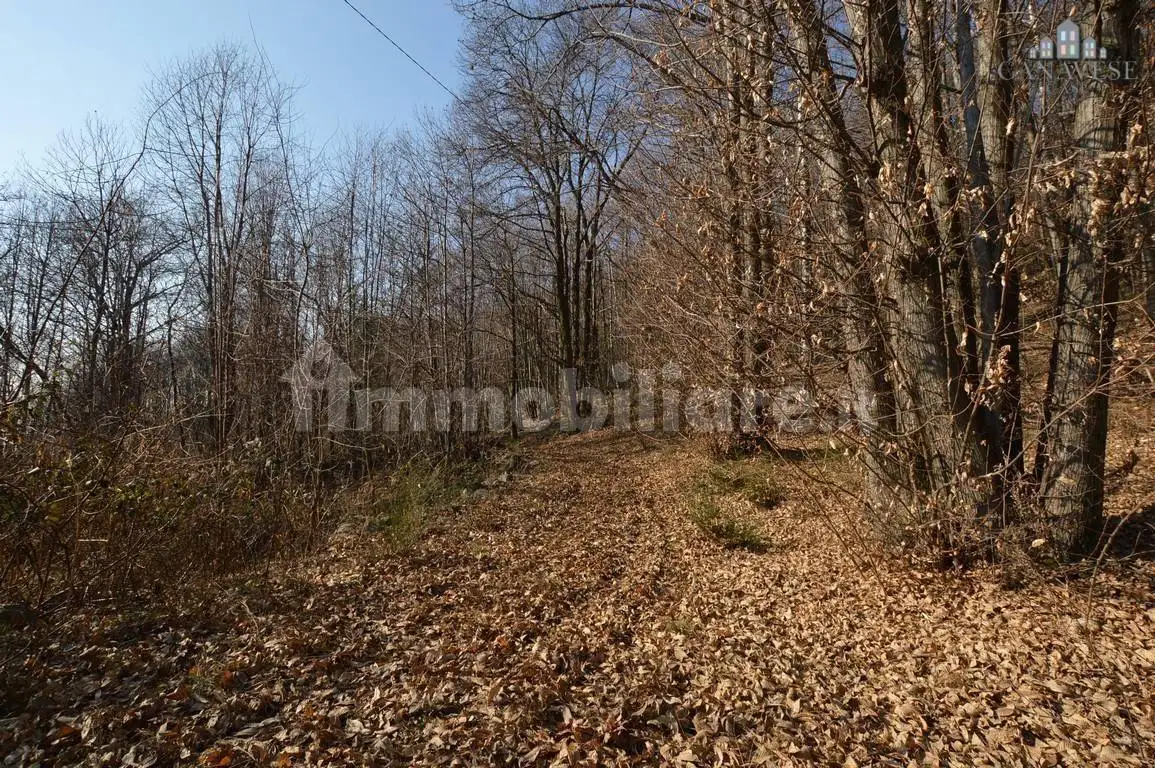 Terratetto unifamiliare strada della gatta 15, Val di Chy - foto 5