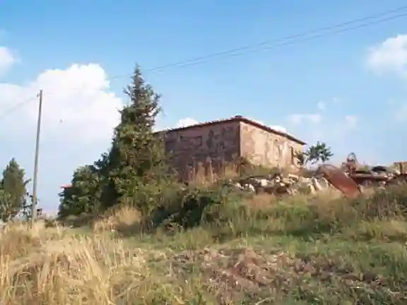 Rustico - Casale - foto 5
