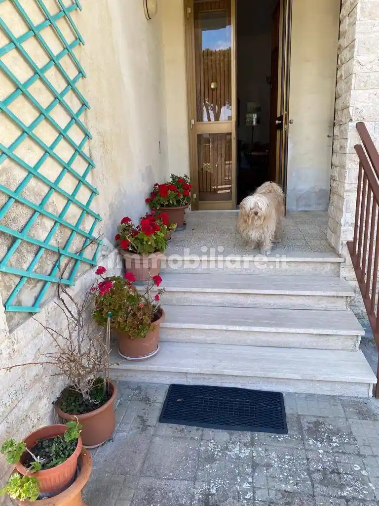 Villa in affitto a Pisa