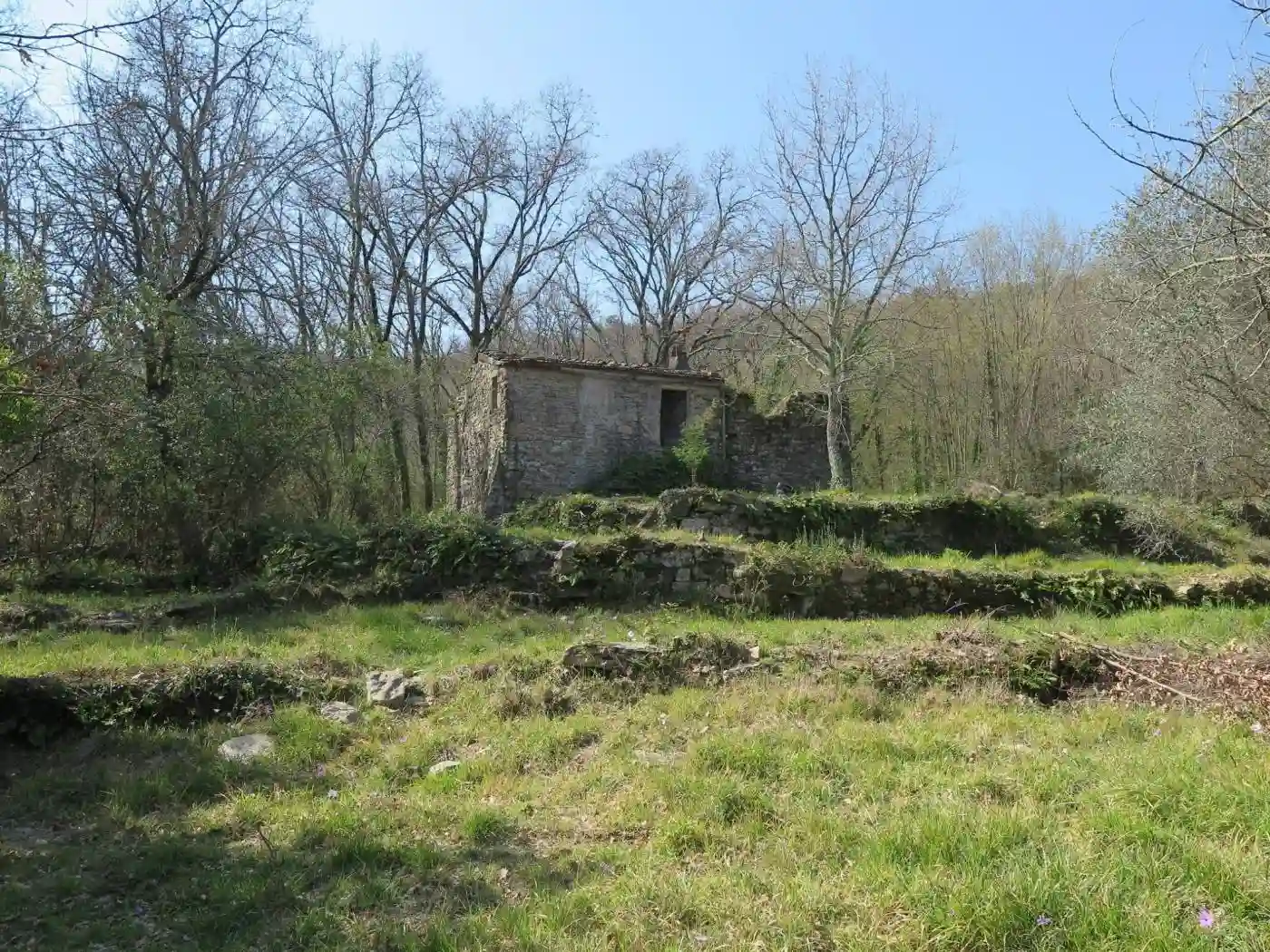 Rustico - Casale - foto 3