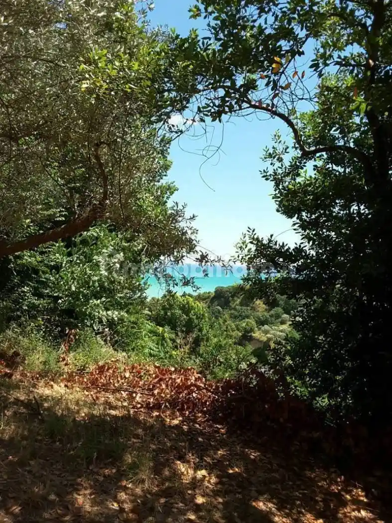 Villa in vendita a Cupra Marittima