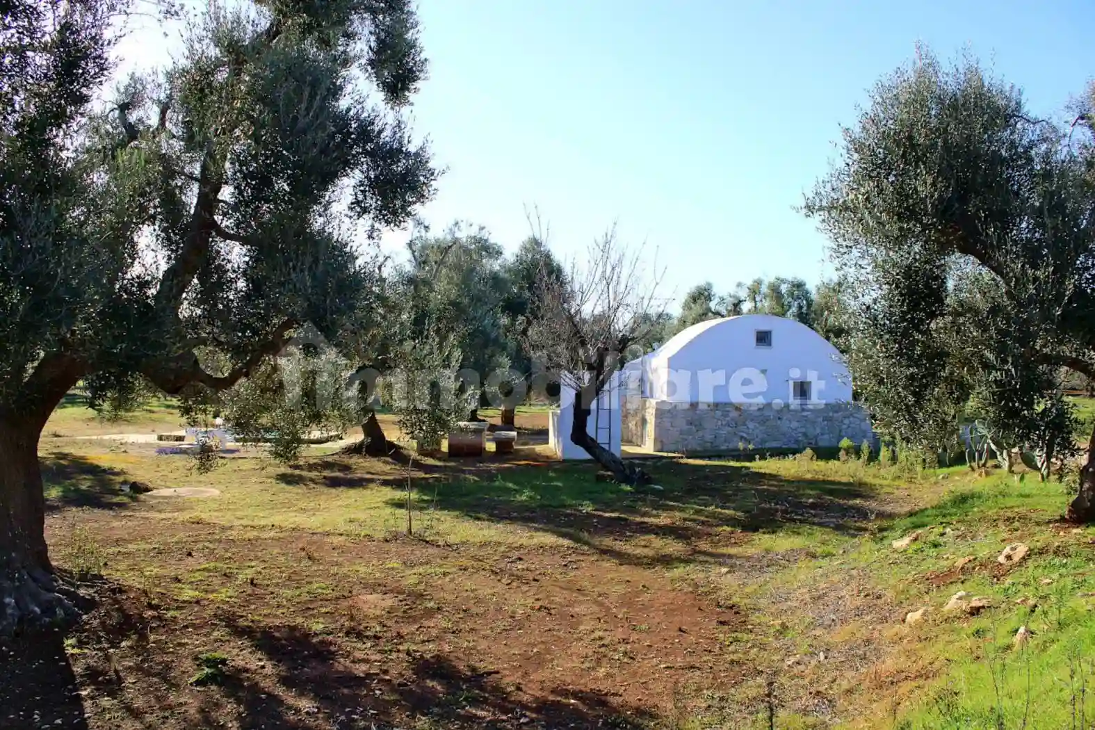 Rustico - Casale - foto 4