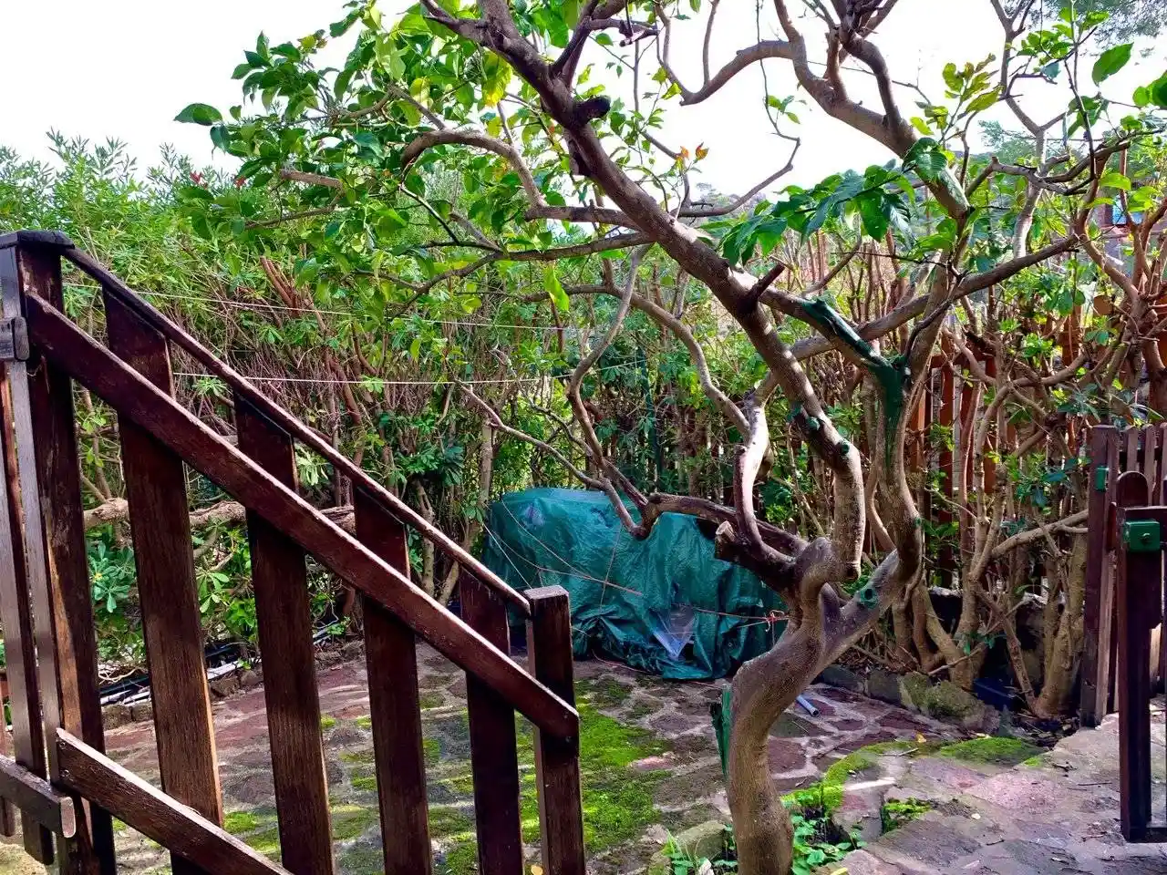 Quadrilocale buono stato, su più livelli, Porto, Capraia Isola - foto 4