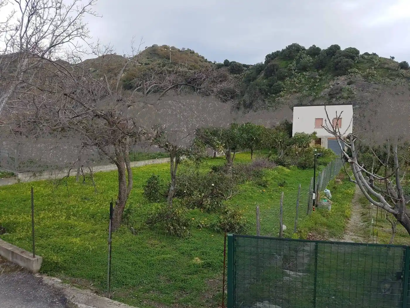 Palazzo - Edificio in Vendita - foto 5