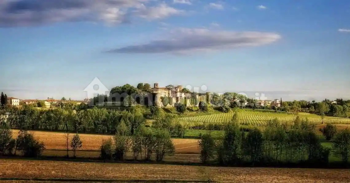 Palazzo - Edificio in vendita a Pozzolengo