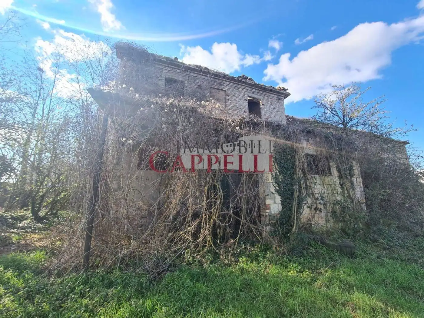 Rustico - Casale in vendita a Bertinoro