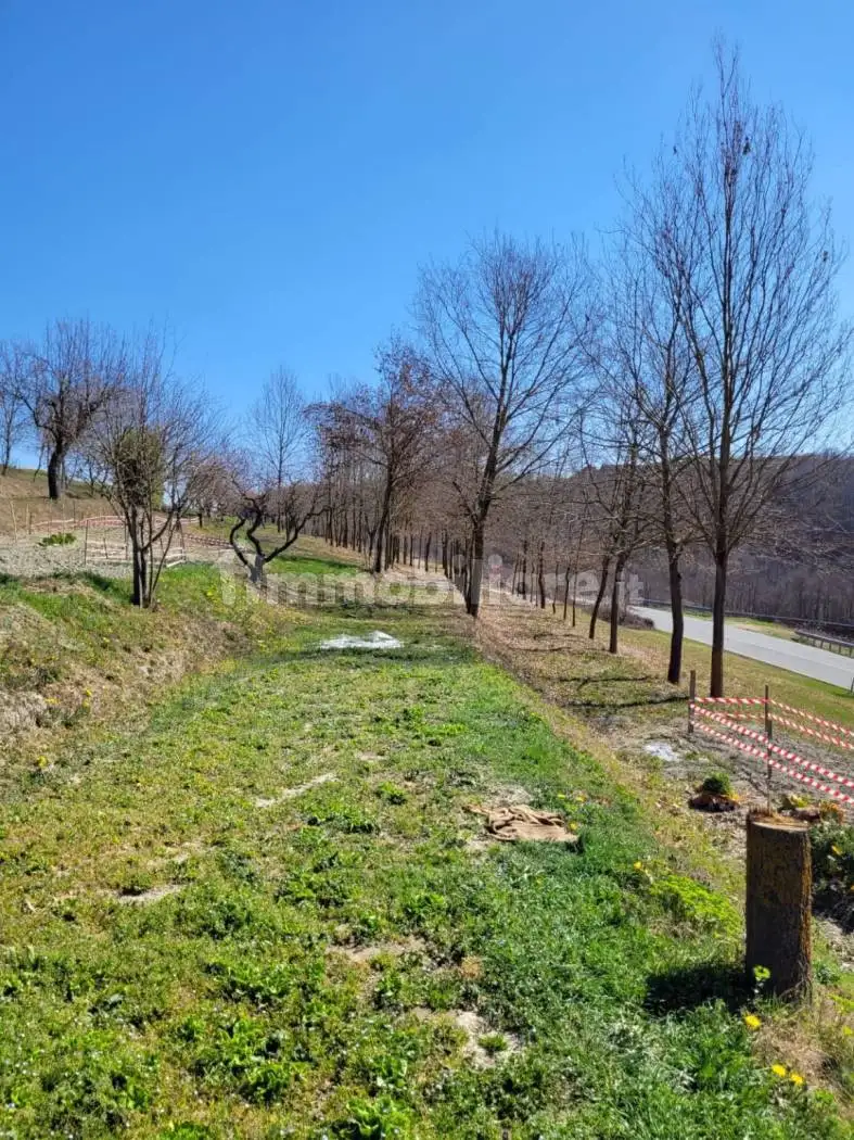 Cascina, buono stato, 598 m², Aramengo - foto 4