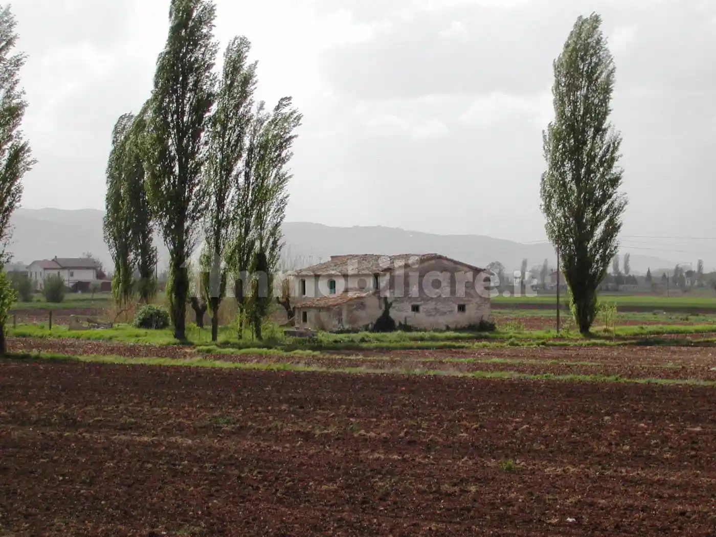 Rustico - Casale in vendita a Cannara