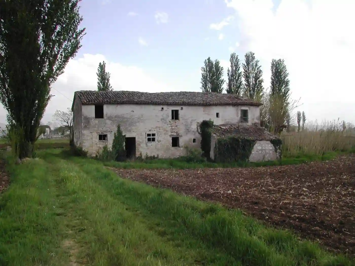 Rustico - Casale - foto 2