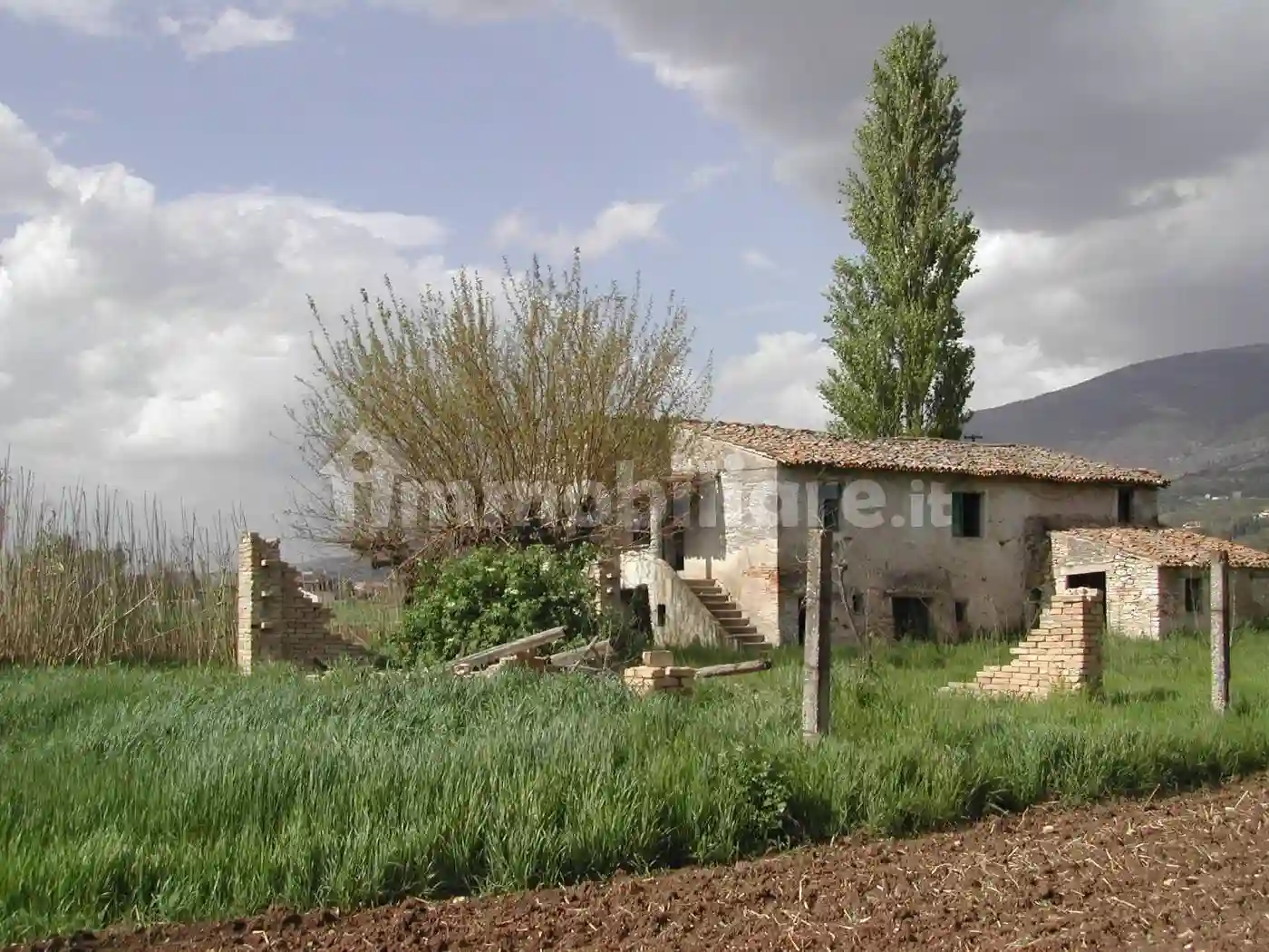 Rustico - Casale - foto 4