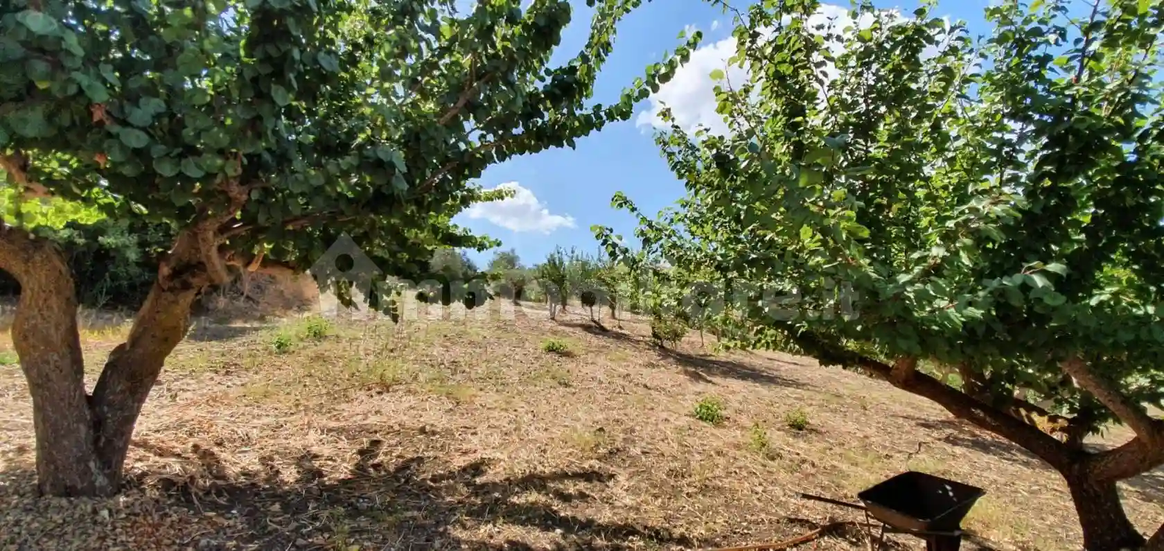 Palazzo - Edificio - foto 3