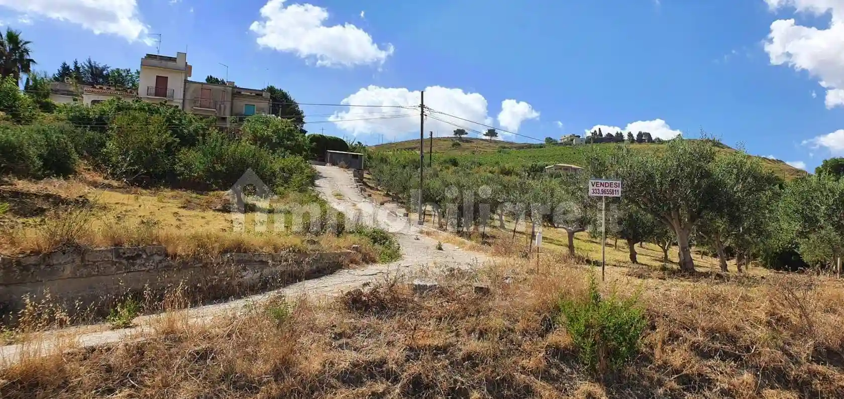 Palazzo - Edificio - foto 4