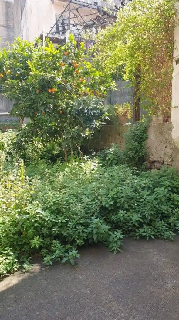 Rustico - Casale in vendita a Belpasso