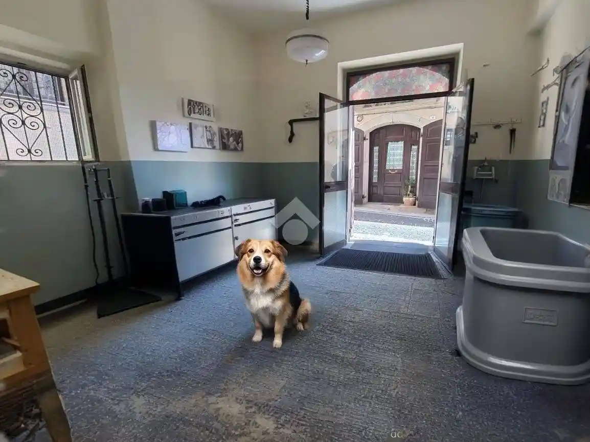 Loft via roma 5, Ospedaletto d'Alpinolo - foto 2