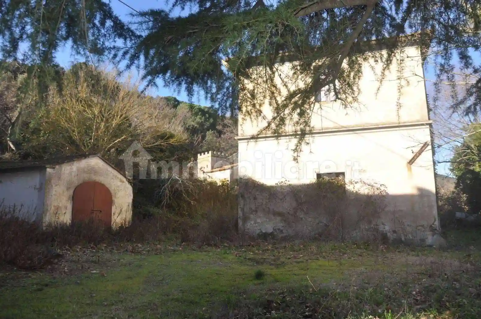 Rustico - Casale - foto 5