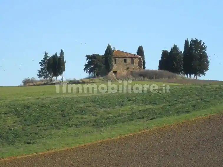 Rustico - Casale in vendita a Chianni
