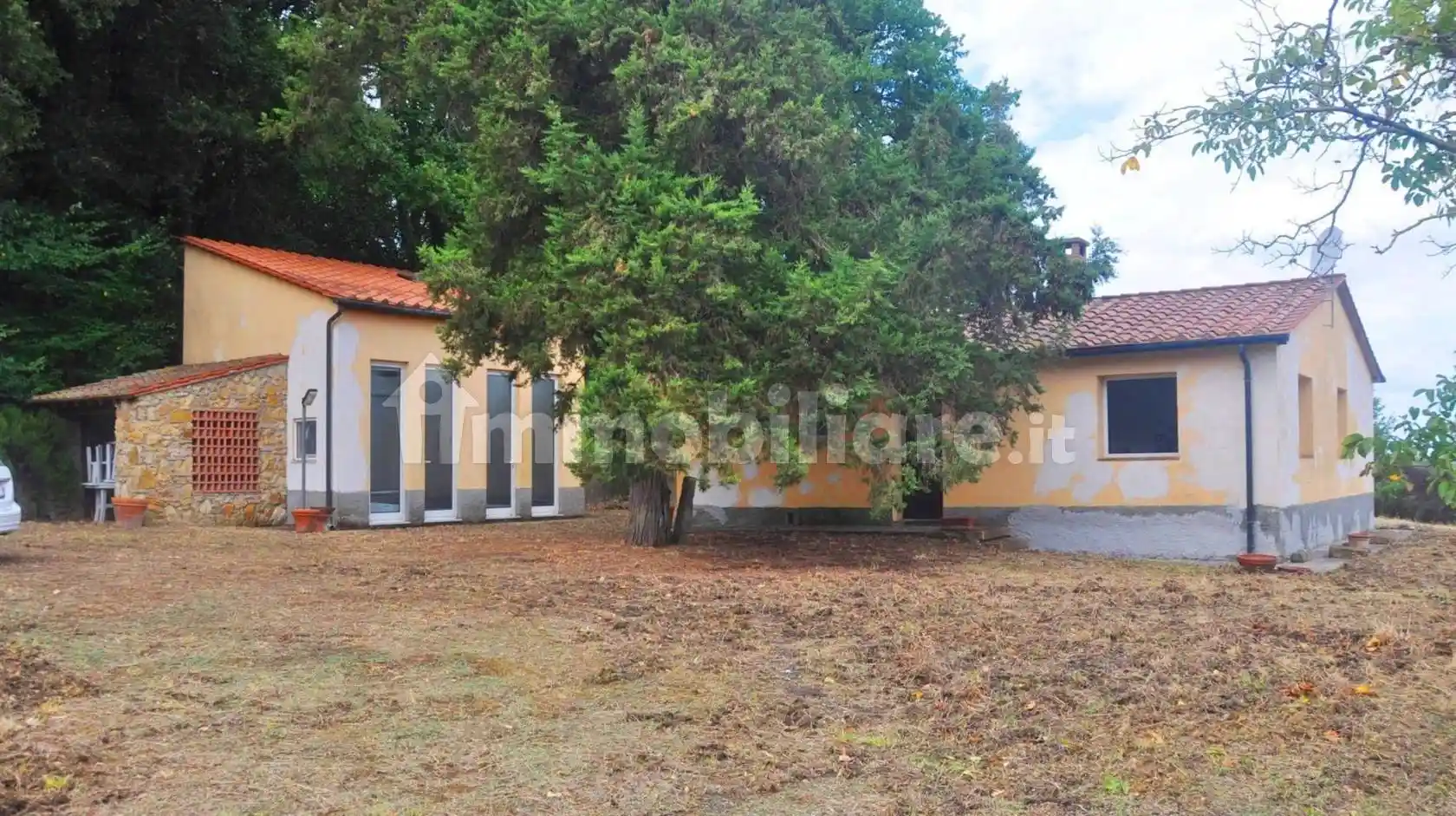 Rustico - Casale in vendita a Montescudaio