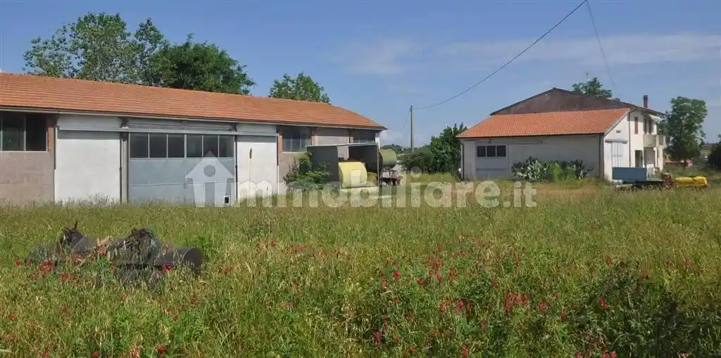 Rustico - Casale in vendita a Orciano Pisano