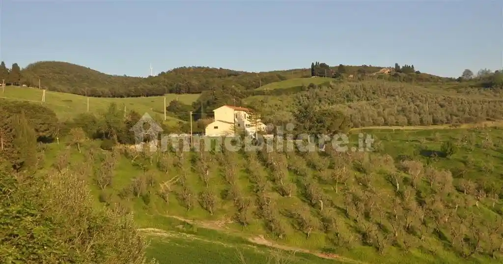 Rustico - Casale in vendita a Santa Luce