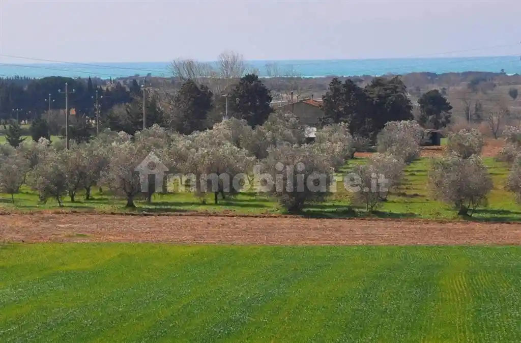 Rustico - Casale in vendita a Rosignano Marittimo