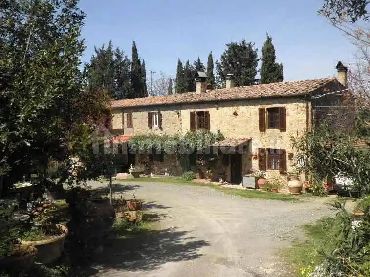 Rustico - Casale in vendita a Montescudaio