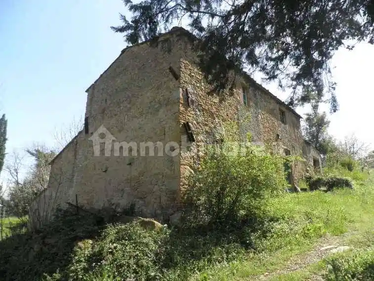 Rustico - Casale in vendita a Montescudaio