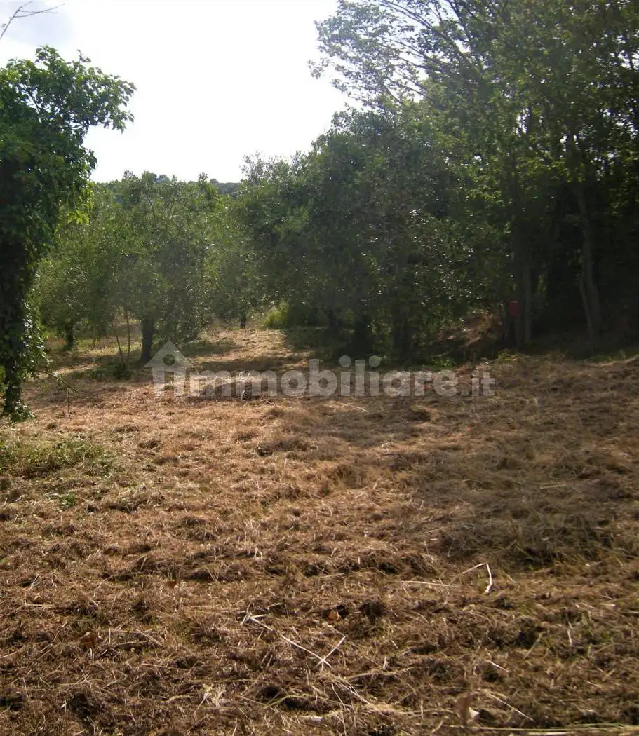 Villa unifamiliare via Guadagni 50, Apollosa - foto 3