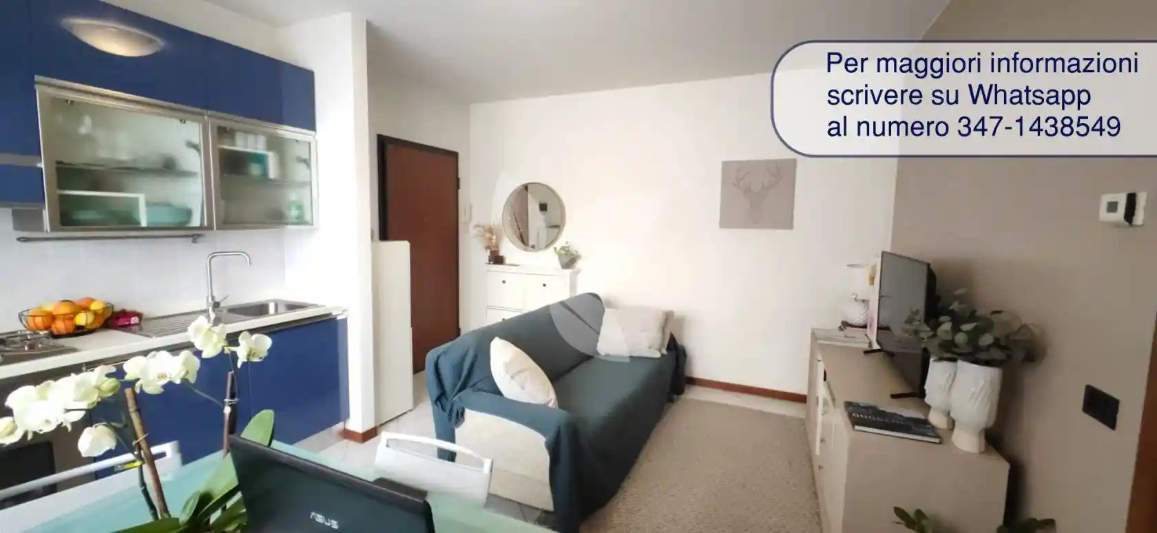 Appartamento in affitto a Parma