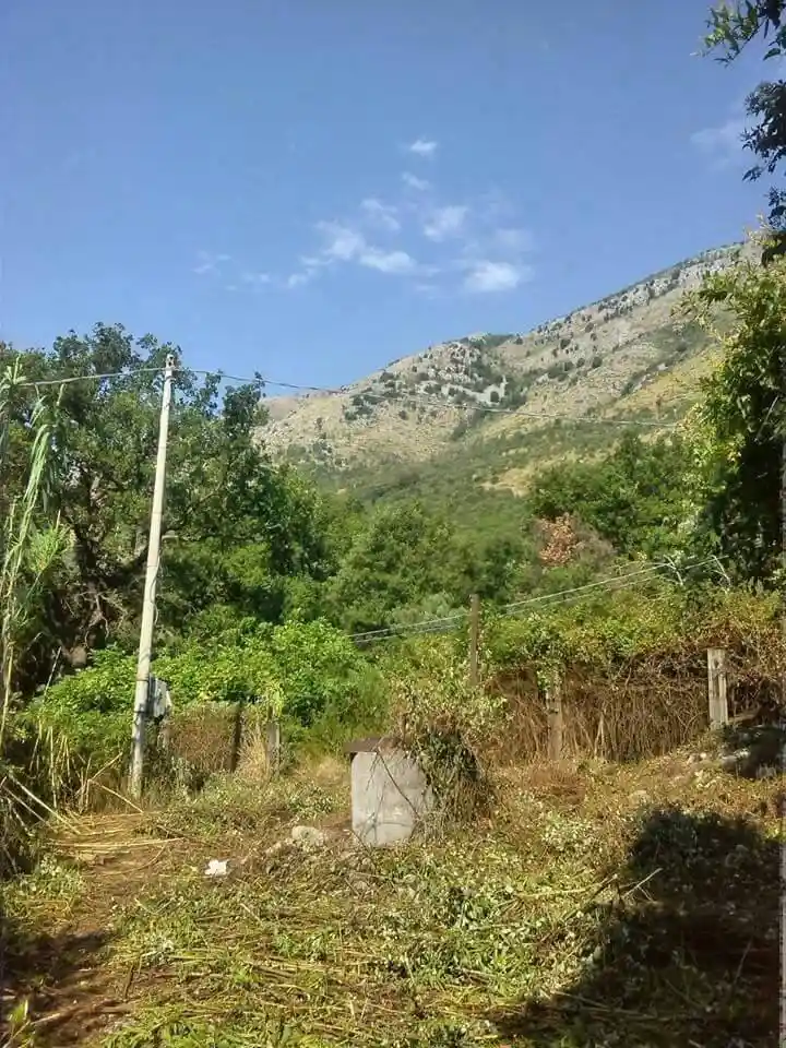 Casale Strada Comunale San Basile, Maratea - foto 4