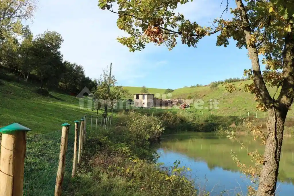 Rustico - Casale in vendita a Castelvetro di Modena