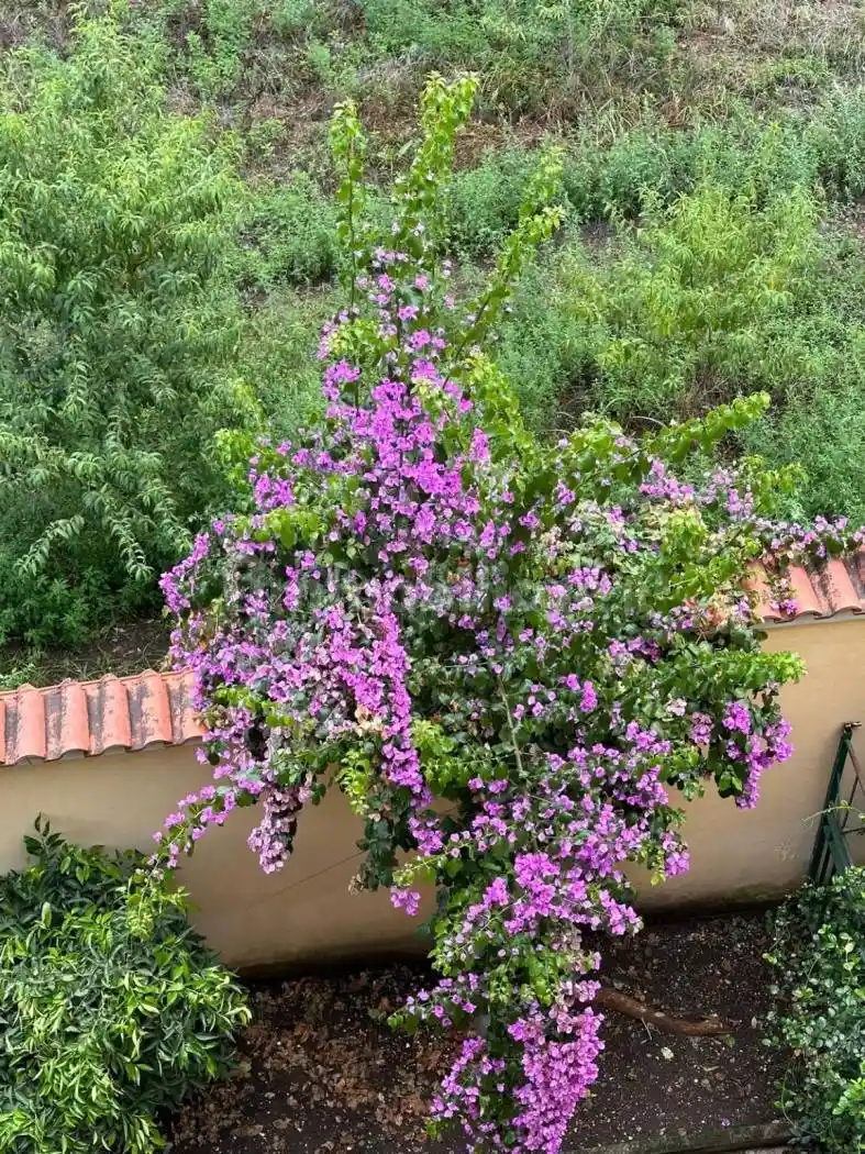 Trilocale via Oasi Sacro Cuore, Giardini - Oasi Sacro Cuore, Giugliano in Campania - foto 4