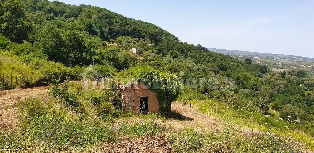 Rustico - Casale in vendita a Vibo Valentia