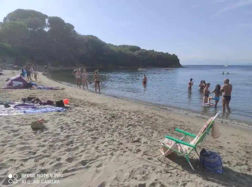 Monolocale via del Castello snc, Punta Ala, Castiglione della Pescaia - foto 5