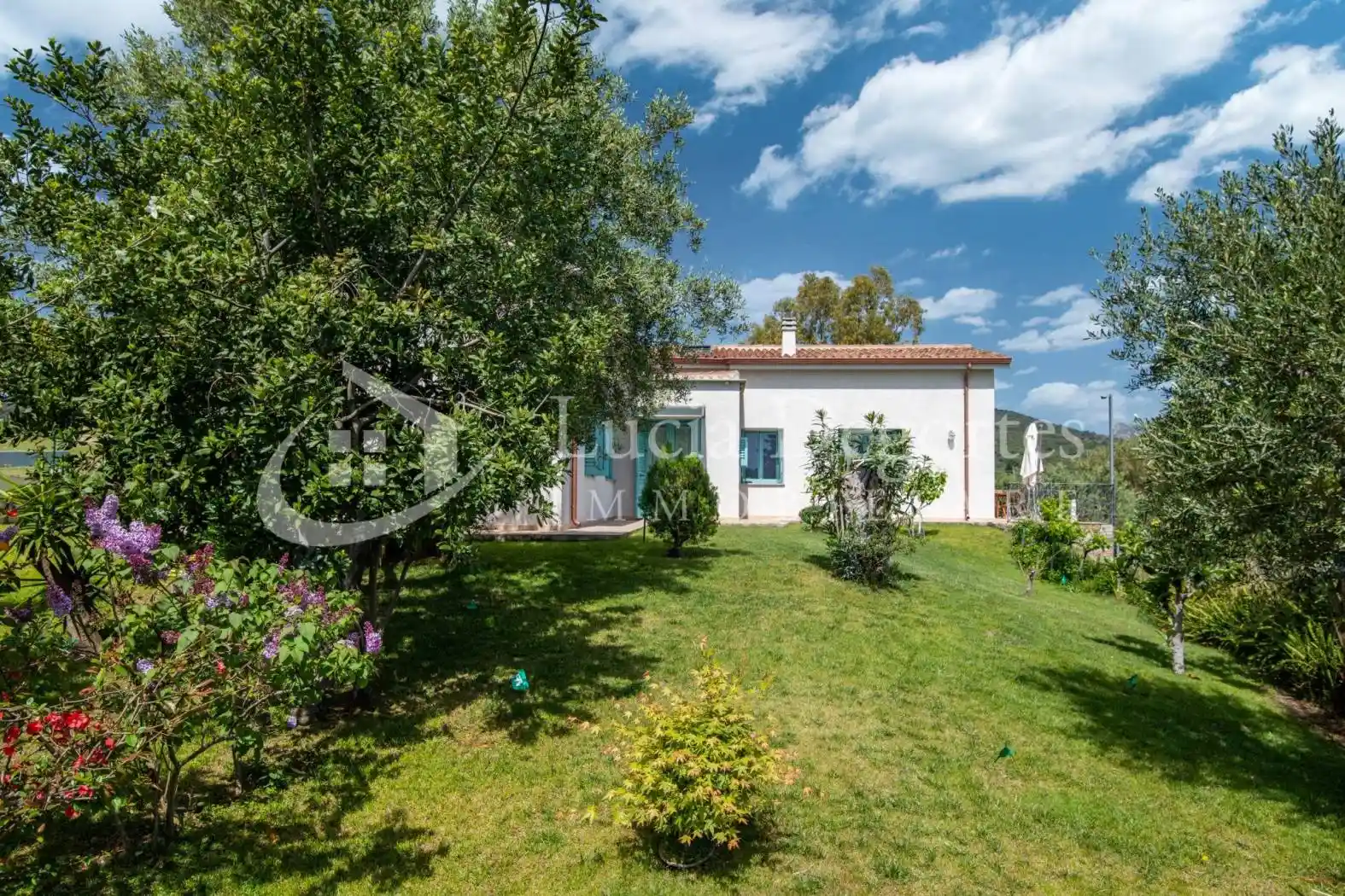 Villa in vendita a Olbia
