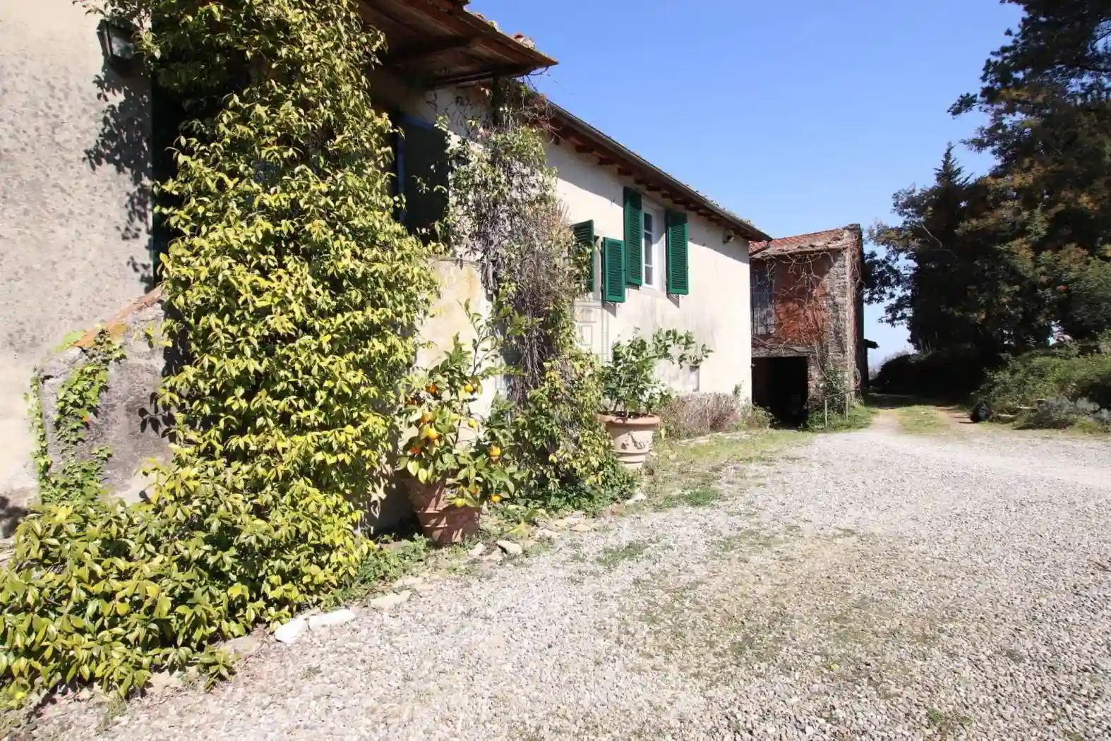 Rustico - Casale - foto 5