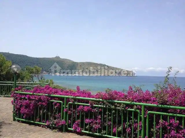 Appartamento in affitto a Centola