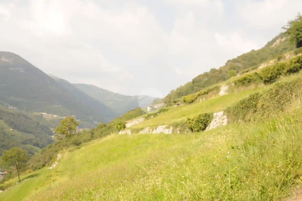 Casa indipendente in vendita a Adrara San Martino