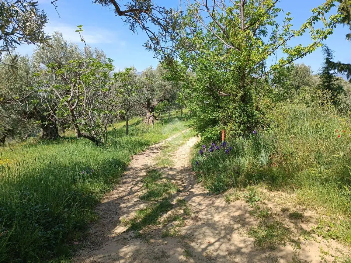Terratetto unifamiliare Contrada Parulli, Parulli, Castiglione Cosentino - foto 4