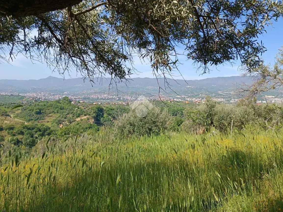 Terratetto unifamiliare Contrada Parulli, Parulli, Castiglione Cosentino - foto 5