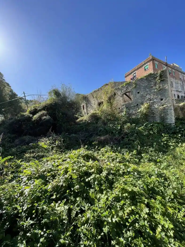 Rustico - Casale in vendita a Falcone