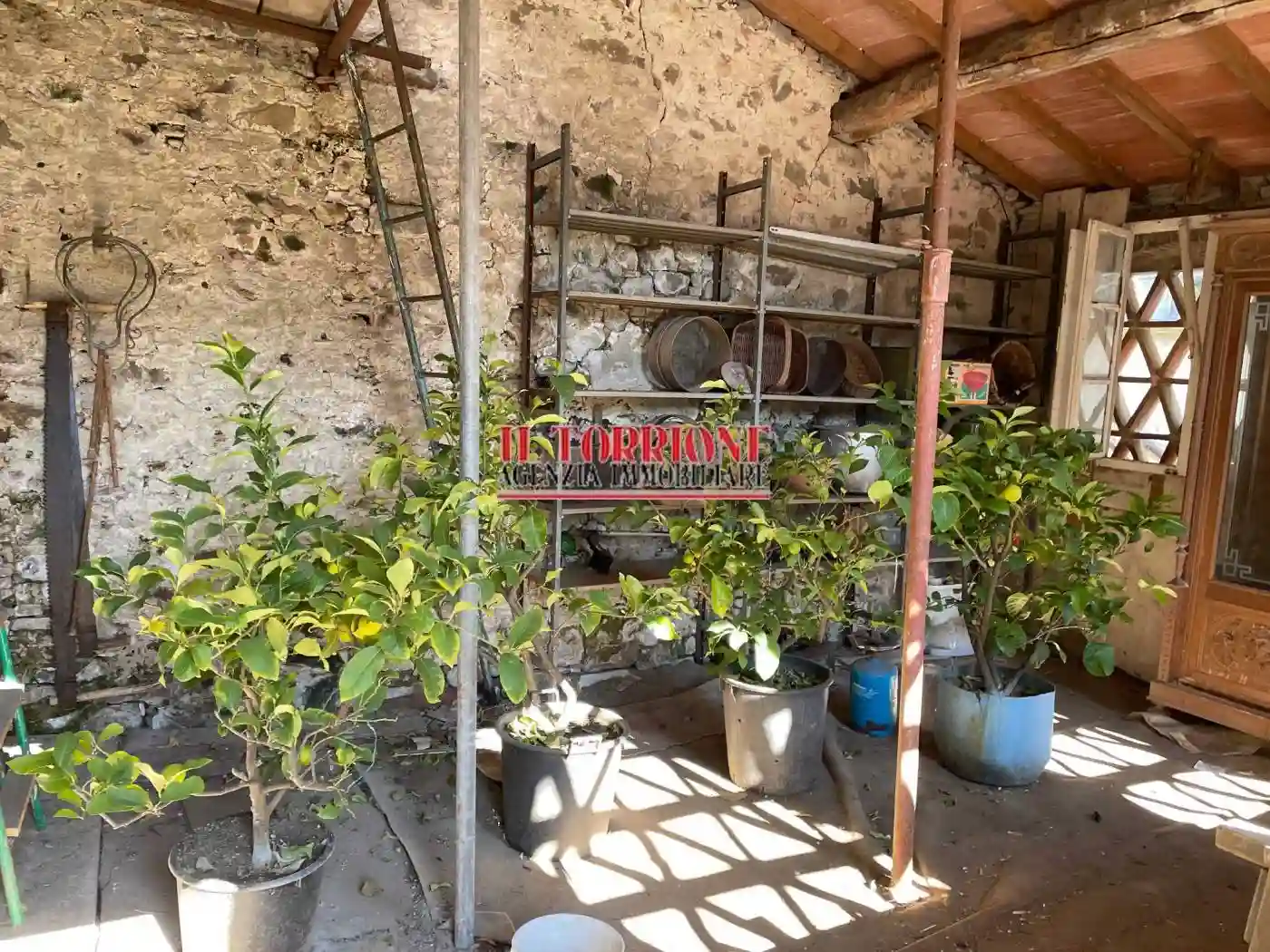 Rustico - Casale - foto 5