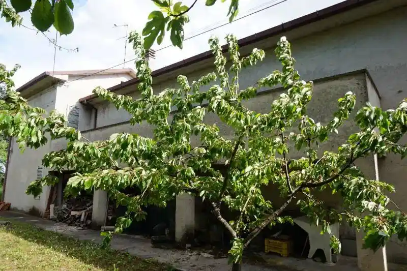 Casale 231 m², Coppetella, Jesi - foto 4