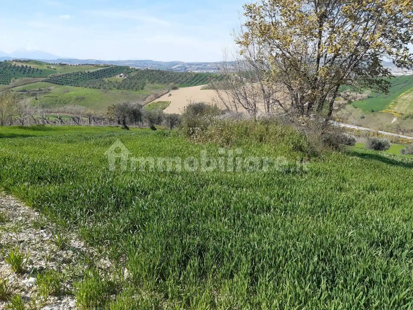 Rustico Contrada Reille, Atri - foto 3