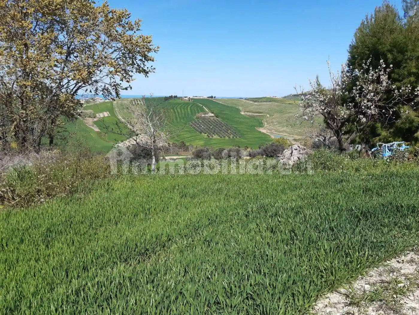 Rustico Contrada Reille, Atri - foto 4