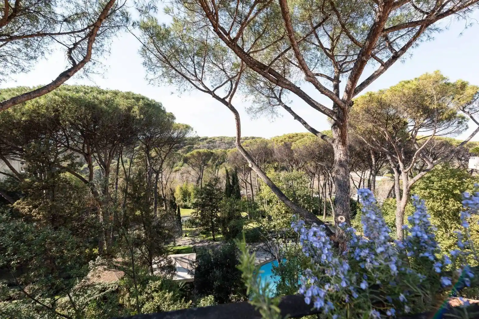 Villa in vendita a Roma