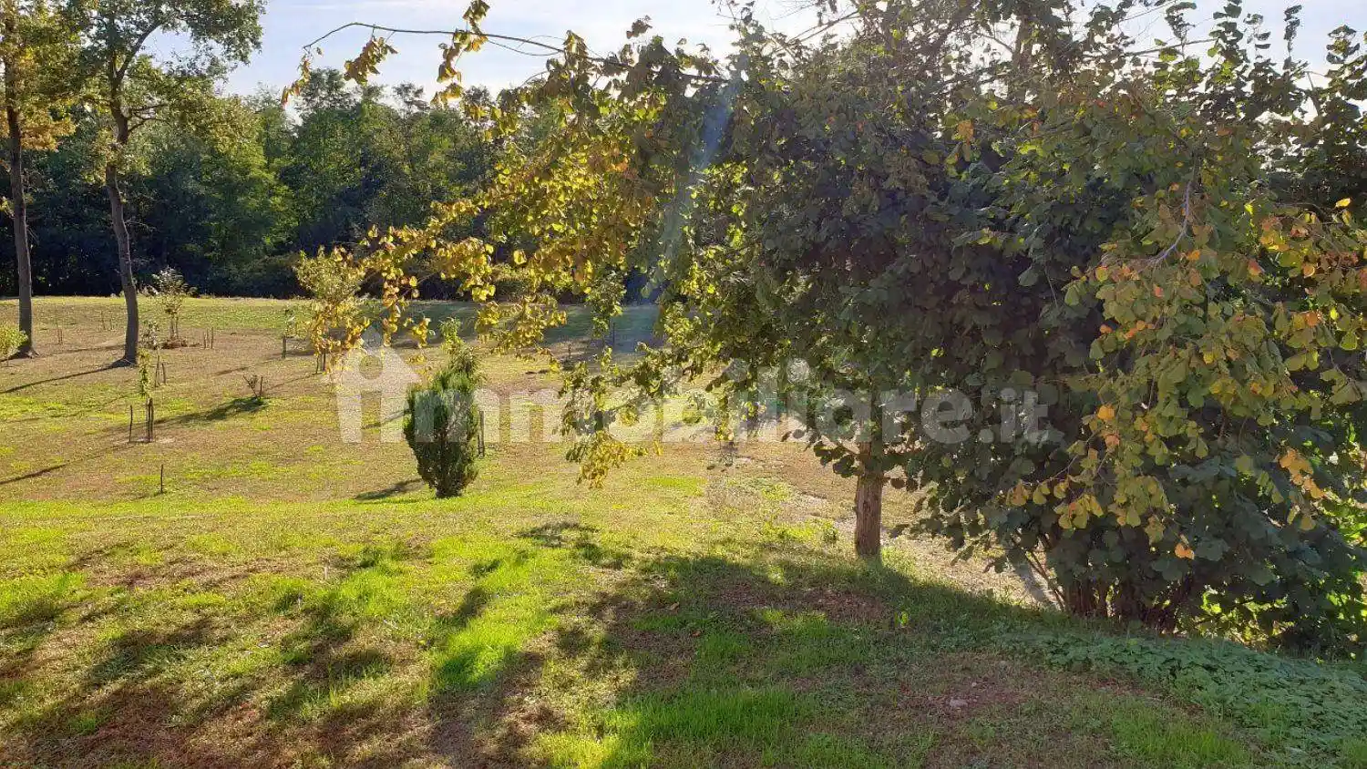 Rustico - Casale in vendita a Fontaneto d'Agogna