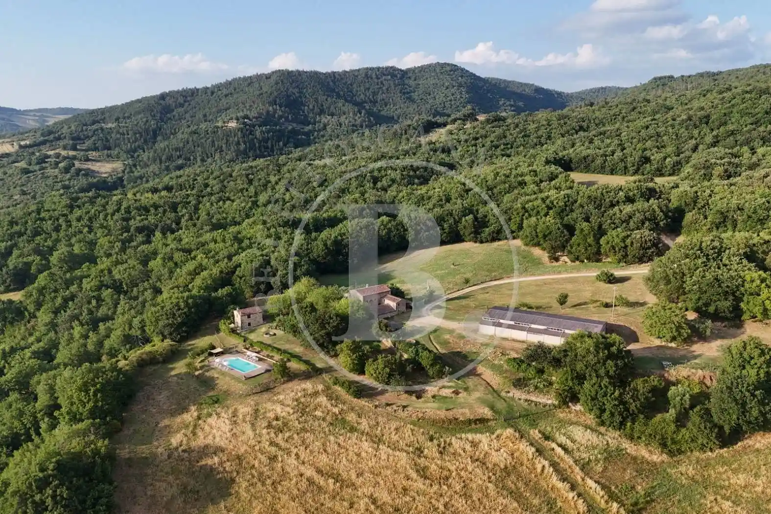 Rustico - Casale in vendita a Radicondoli