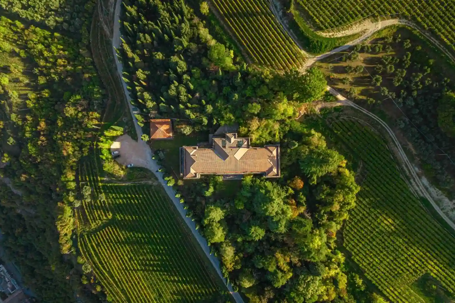 Palazzo - Edificio - foto 3