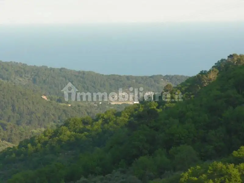 Rustico - Casale in vendita a Villa Faraldi